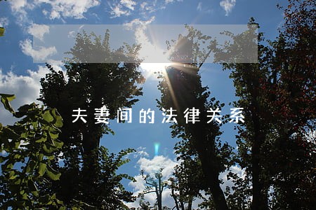 夫妻间的法律关系 夫妻间的法律关系
