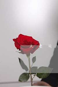 夫妻闹离婚好友怎么劝和 夫妻闹离婚好友怎么劝和