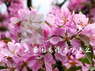 夫妻闹离婚房贷怎么算 夫妻闹离婚房贷怎么算