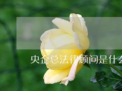 央企总法律顾问是什么 央企总法律顾问是什么