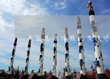 央企总法律顾问有钱吗 央企总法律顾问有钱吗
