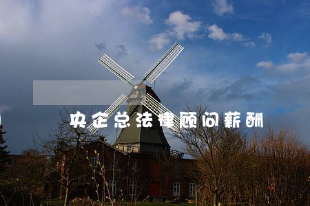 央企总法律顾问薪酬 央企总法律顾问薪酬