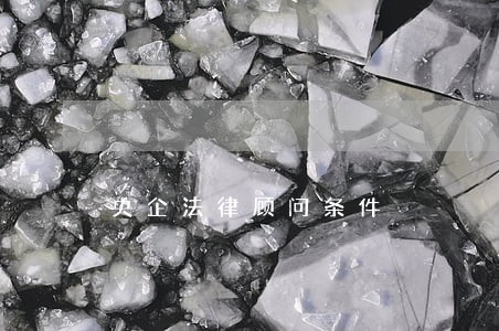 央企法律顾问条件 央企法律顾问条件