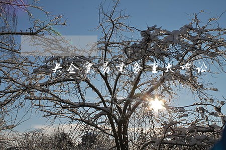 央企贸易业务重大诉讼