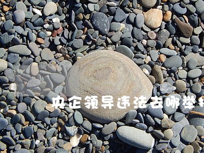 央企领导违法去哪举报
