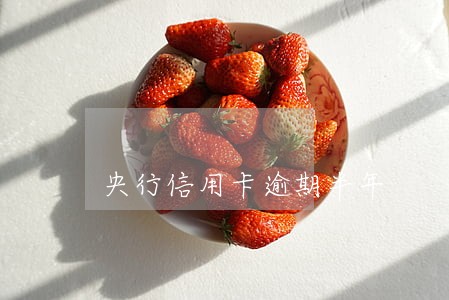 央行信用卡逾期半年 央行信用卡逾期半年