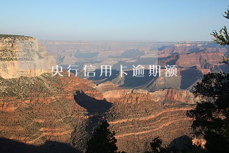 央行信用卡逾期额