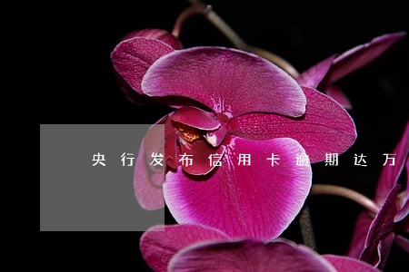 央行发布信用卡逾期达万亿