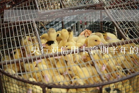 央行对信用卡逾期半年的处理办法 央行对信用卡逾期半年的处理办法