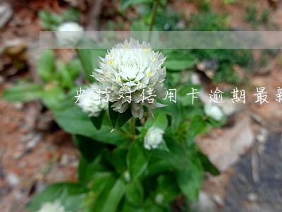 央行对信用卡逾期最新通知 央行对信用卡逾期最新通知