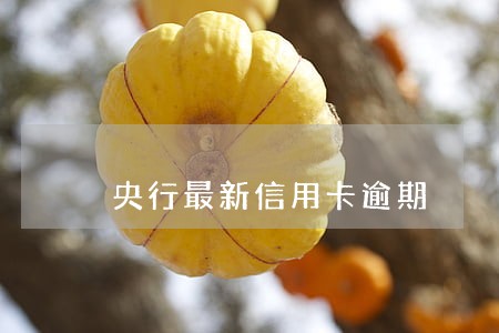 央行最新信用卡逾期