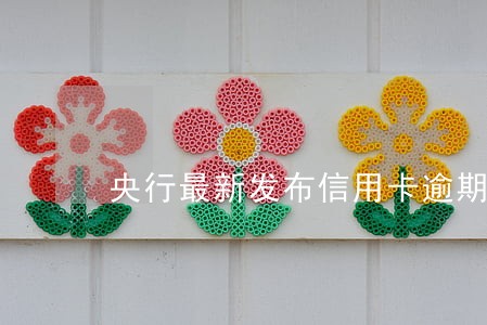 央行最新发布信用卡逾期 央行最新发布信用卡逾期