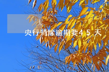 央行消除逾期要45天 央行消除逾期要45天