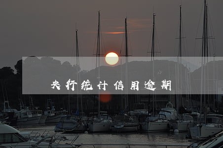 央行统计信用逾期