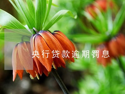 央行贷款逾期罚息 央行贷款逾期罚息