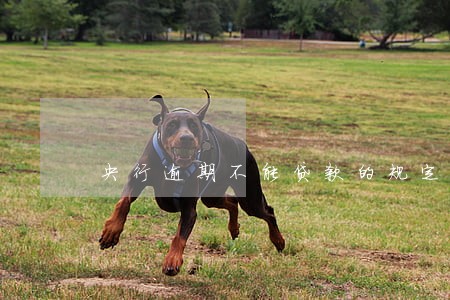 央行逾期不能贷款的规定 央行逾期不能贷款的规定