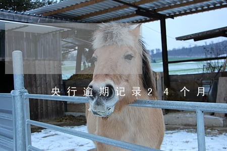 央行逾期记录24个月 央行逾期记录24个月