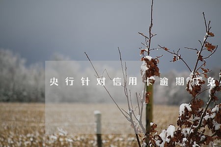 央行针对信用卡逾期减免违约金