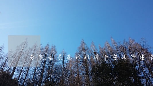 夯实基层基础推进平安法治建设
