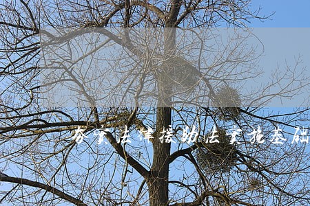 夯实法律援助法实施基础 夯实法律援助法实施基础