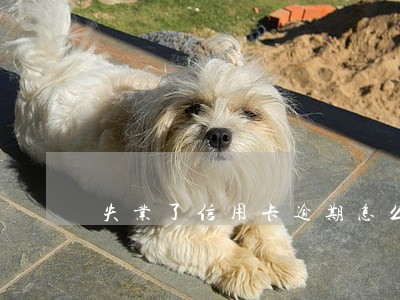 失业了信用卡逾期怎么 失业了信用卡逾期怎么