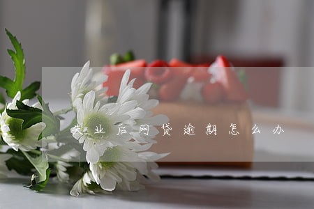失业后网贷逾期怎么办 失业后网贷逾期怎么办
