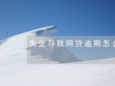 失业导致网贷逾期怎么办