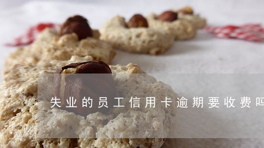 失业的员工信用卡逾期要收费吗