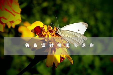 失业证对信用卡逾期 失业证对信用卡逾期