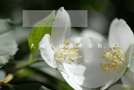 失信人信用卡逾期 失信人信用卡逾期