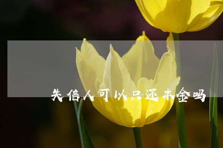失信人可以只还本金吗 失信人可以只还本金吗