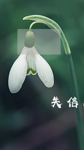 失信人法院利用舆论公布可以吗