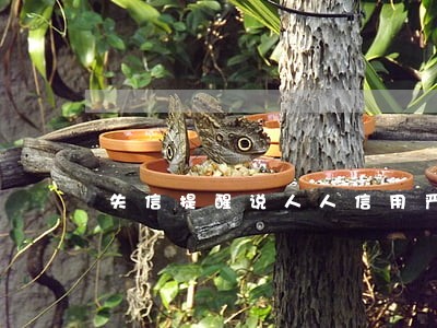 失信提醒说人人信用严重逾期 失信提醒说人人信用严重逾期