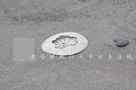 失信被执行人可以去法院申请出境么 失信被执行人可以去法院申请出境么