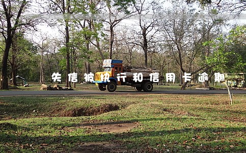 失信被执行和信用卡逾期