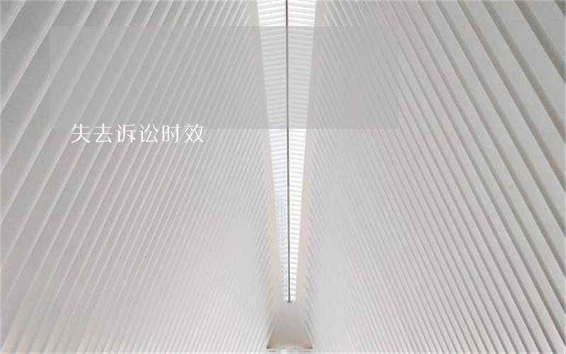 失去诉讼时效 失去诉讼时效