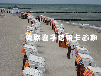 失联妻子信用卡逾期 失联妻子信用卡逾期
