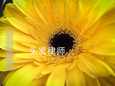 头发律师 头发律师