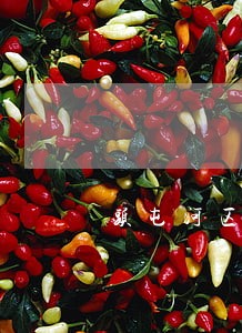 头屯河区离婚律师介绍 头屯河区离婚律师介绍