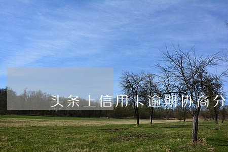 头条上信用卡逾期协商分期 头条上信用卡逾期协商分期