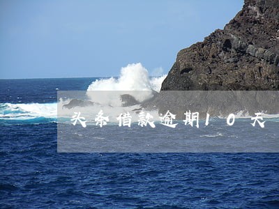 头条借款逾期10天 头条借款逾期10天
