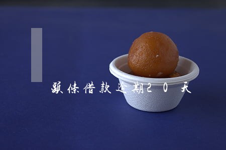 头条借款逾期20天 头条借款逾期20天