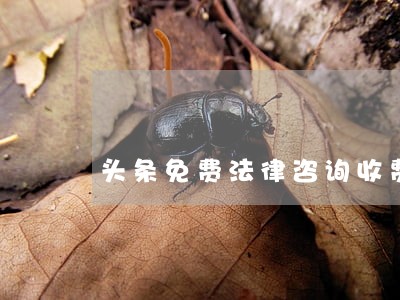 头条免费法律咨询收费吗 头条免费法律咨询收费吗