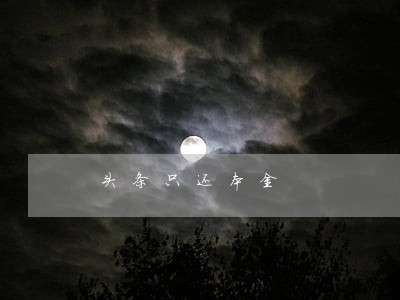 头条只还本金 头条只还本金