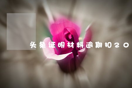 头条证明材料逾期扣20分 头条证明材料逾期扣20分