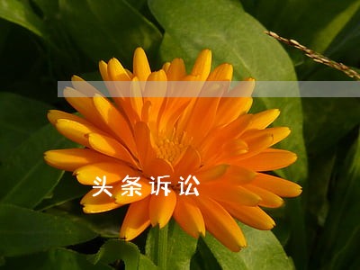 头条诉讼 头条诉讼