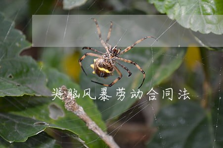 头脑风暴劳动合同法 头脑风暴劳动合同法