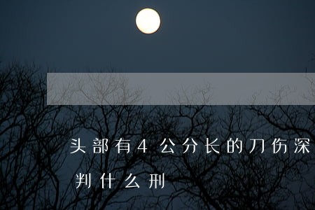 头部有4公分长的刀伤深至卢骨在法律上能判什么刑 头部有4公分长的刀伤深至卢骨在法律上能判什么刑