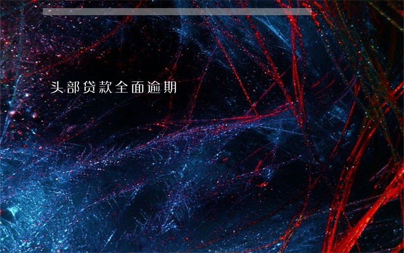 头部贷款全面逾期 头部贷款全面逾期