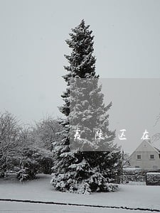 夷陵区在线律师免费法律咨询 夷陵区在线律师免费法律咨询